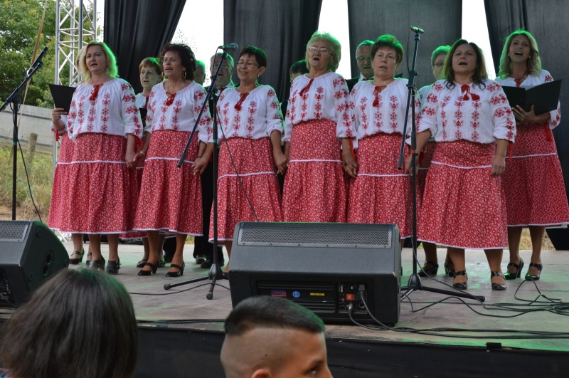 Falunap 2018_127