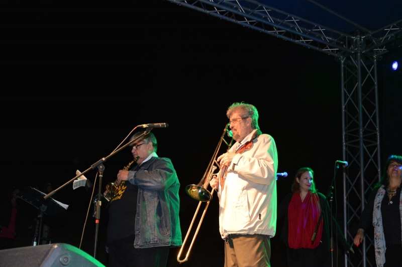 Falunap 2018_187