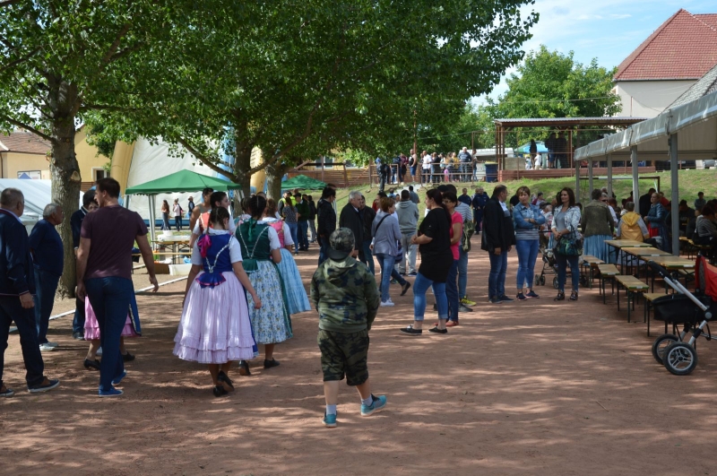 Falunap 2018_19