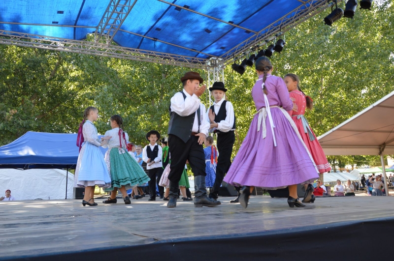 Falunap 2018_37