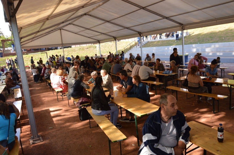 Falunap 2018_50