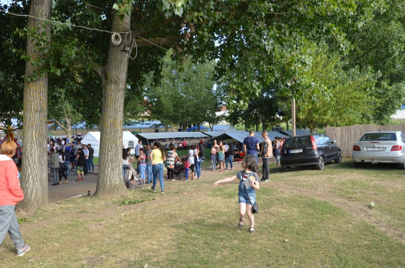 Falunap 2018_56