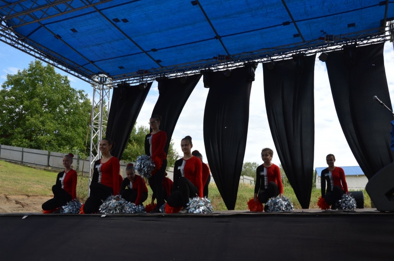 Falunap 2018_8