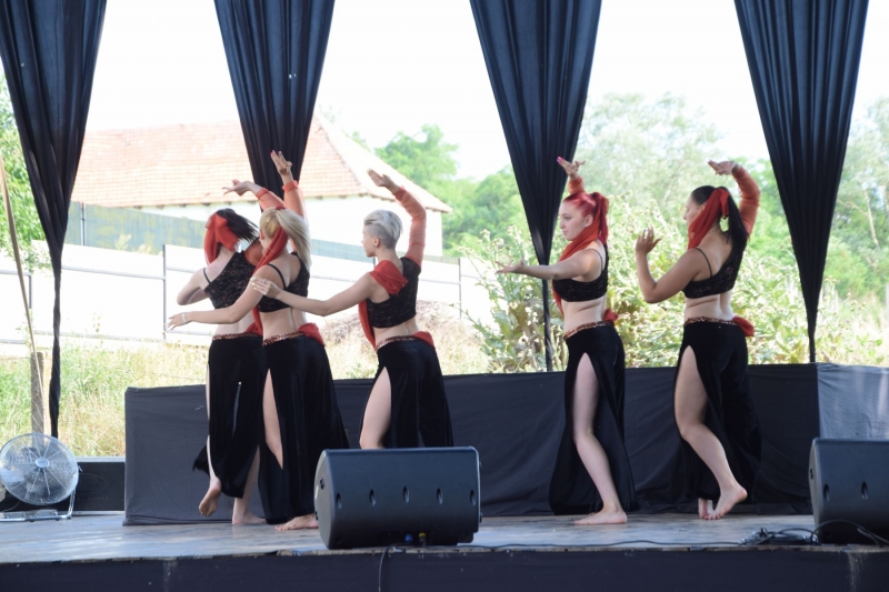 XX. Falunap 2019_32